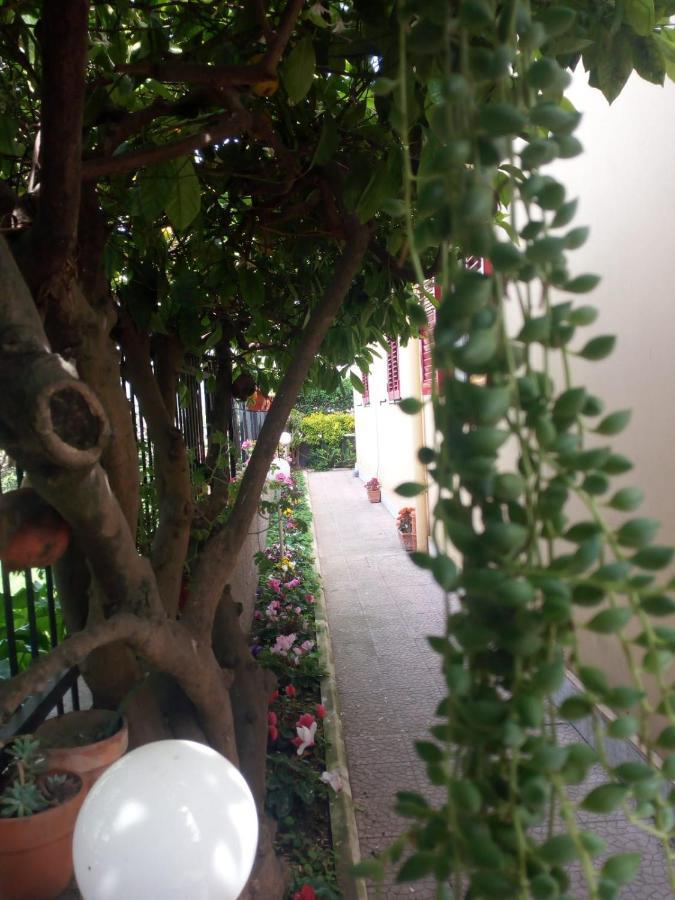 Green Garden ポンペイ エクステリア 写真